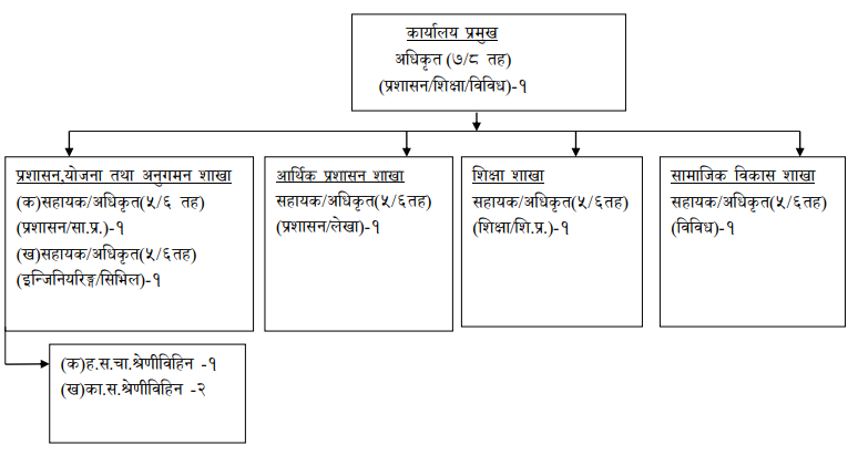 संगठन संरचना